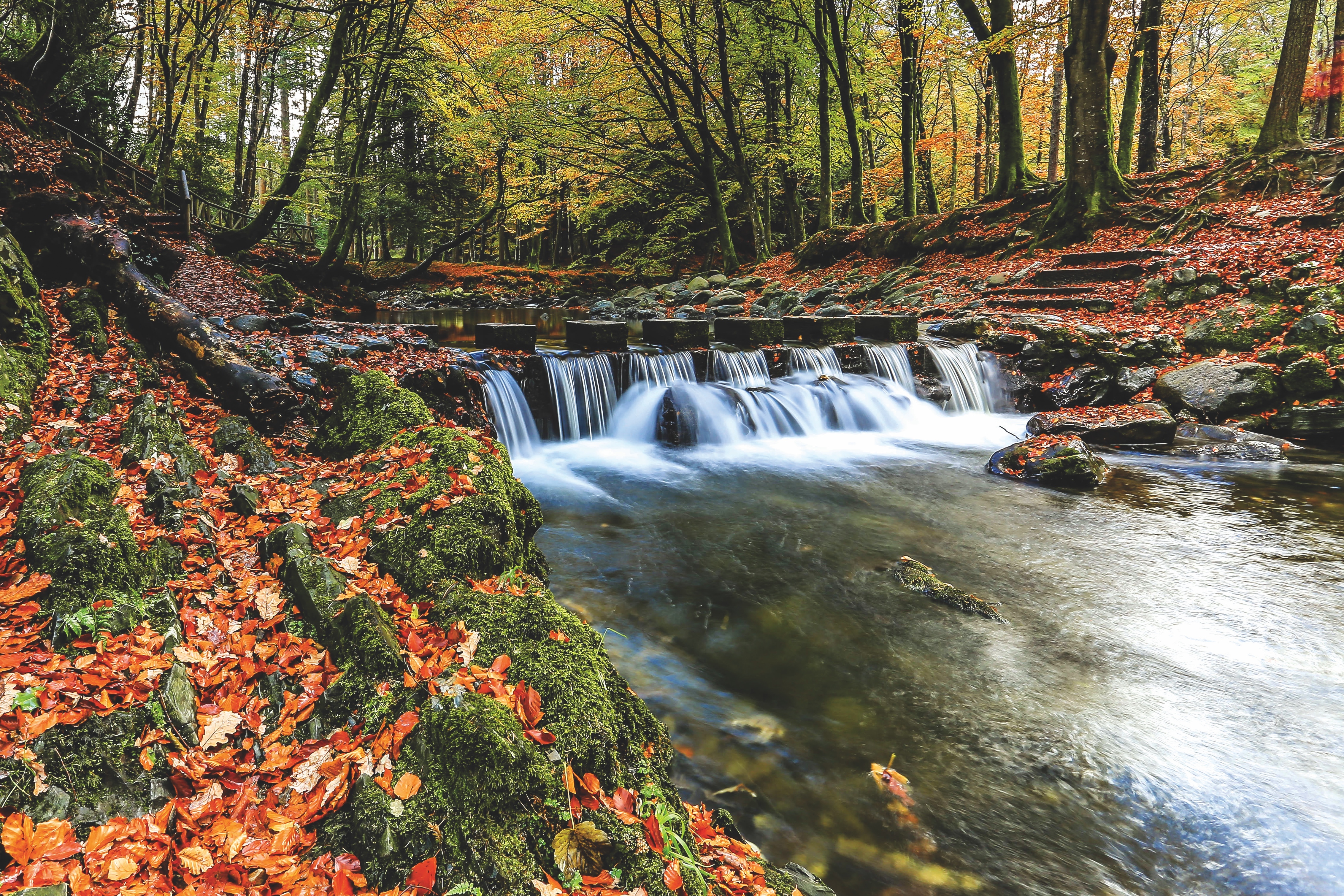 C.S. Lewis Day (image 1)