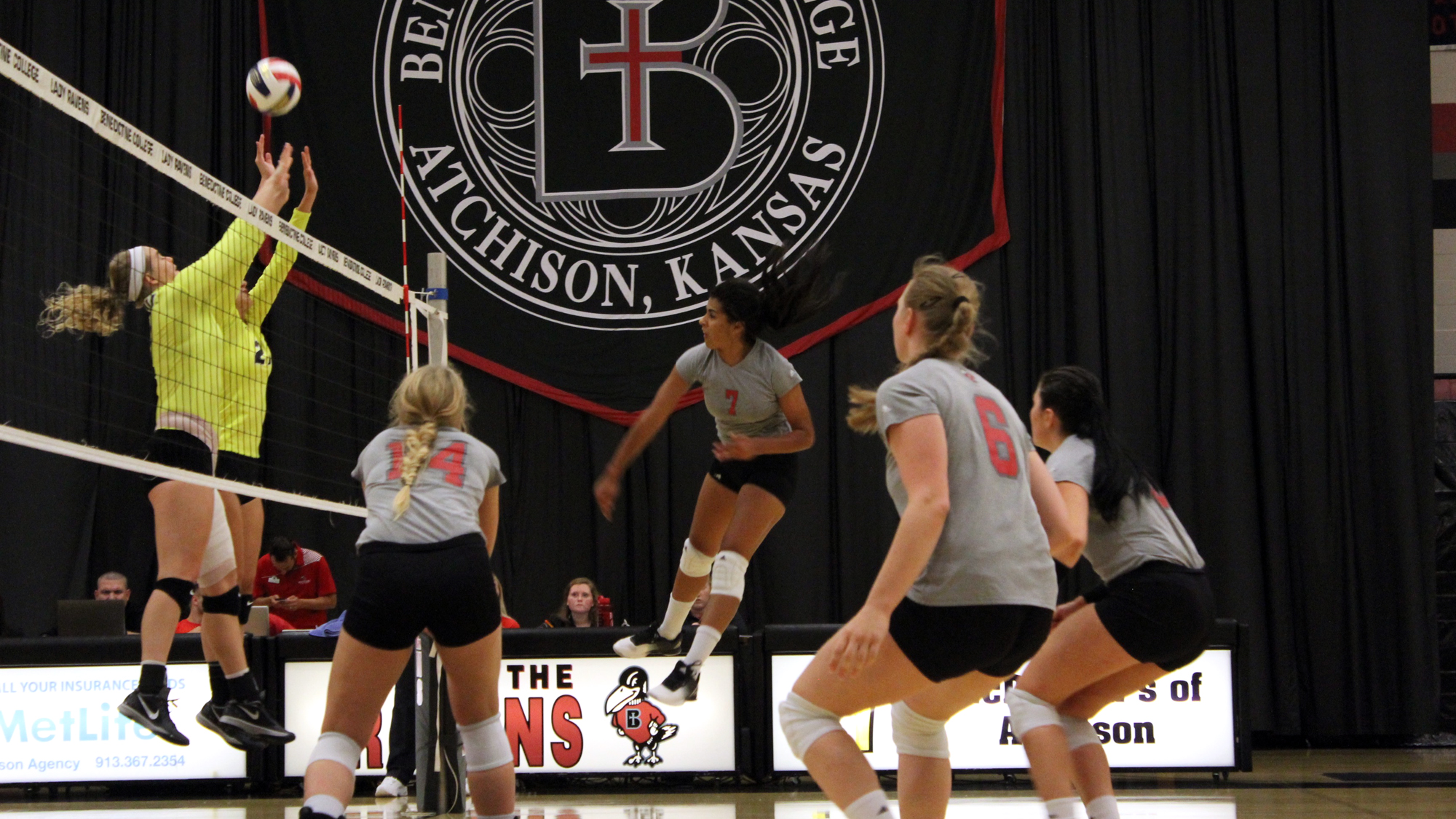 Volleyball Win Streak Halted at Five