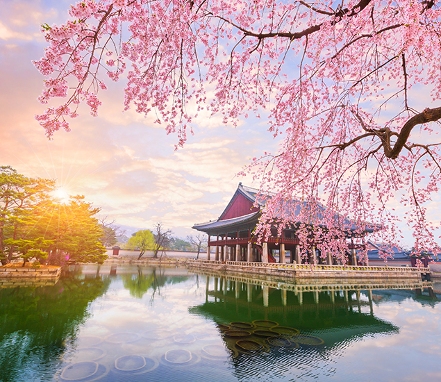 Blossoms-Link-Image